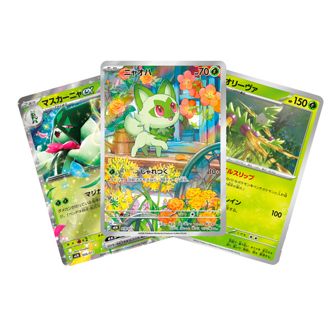 Deck Starter Set Pokémon EX Poussacha & Miascarade EX