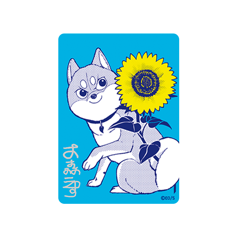 Carte Promo Shiba Inu Rooms – Natsucomi 2026