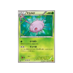 Ciel Rugissant (XY6)