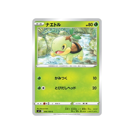 carte-pokemon-star-birth-s9-006100-tortipouss