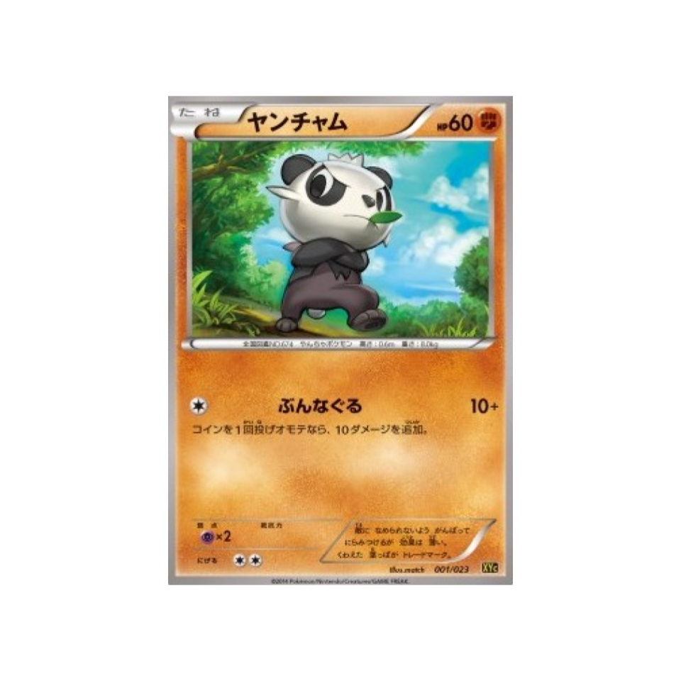 carte-pokemon-super-legend-xerneas-ex-yveltal-ex-xyc-001-023-pandespiegle