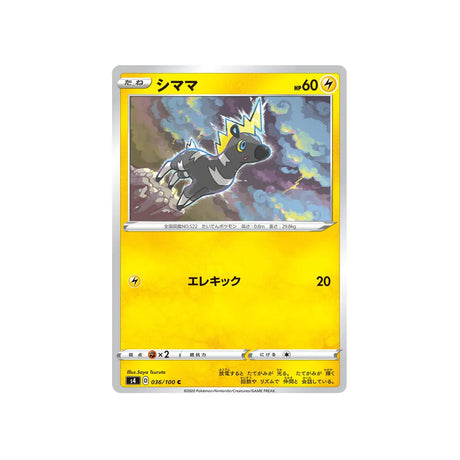 zébribon-carte-pokemon-astonishing-volt-tackles4-036