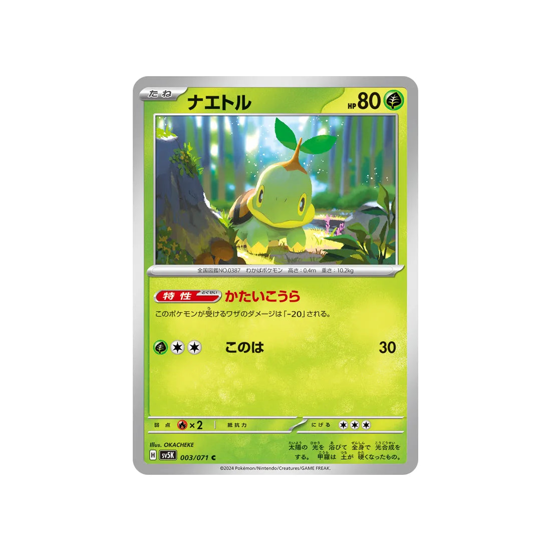 Carte Pokémon Wild Force SV5K 003/071 : Tortipouss