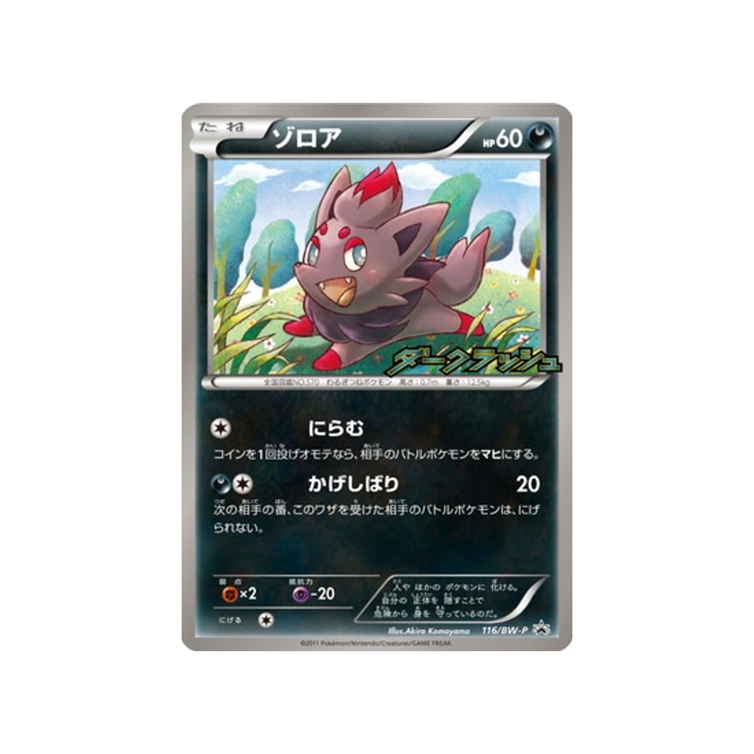 cartes-pokemon-carte-promo-noir--blanc-bw-p-116-zorua
