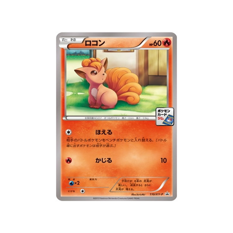 cartes-pokemon-carte-promo-xy-xy-p-110-goupix