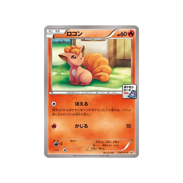 cartes-pokemon-carte-promo-xy-xy-p-110-goupix