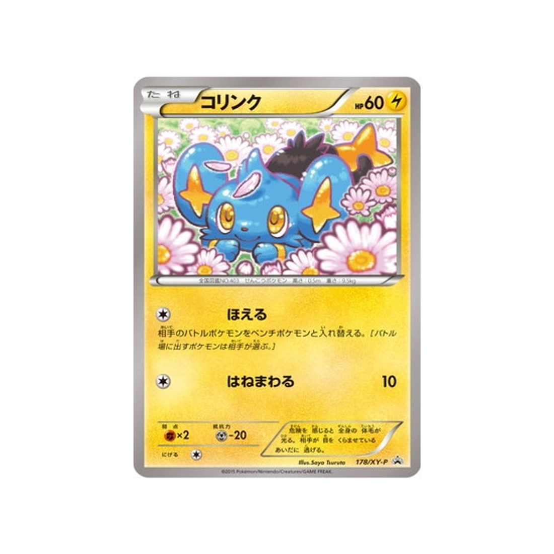 cartes-pokemon-carte-promo-xy-xy-p-178-lixy