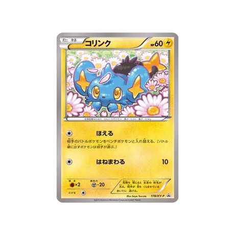 cartes-pokemon-carte-promo-xy-xy-p-178-lixy