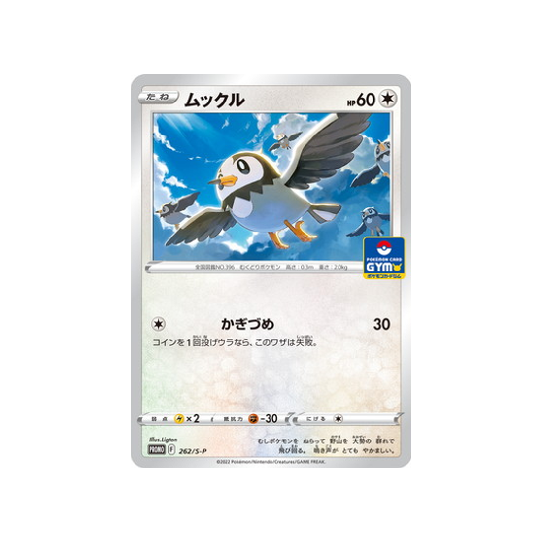 étourmi-carte-pokemon-Carte Promo Épée et Bouclier-s-p-262-S-P