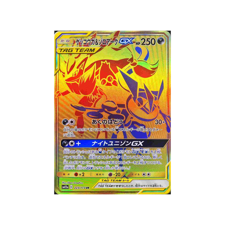 greninja-&-zoroark-gx-carte-pokemon-tag-team-gx-all-stars-sm12a-223-173