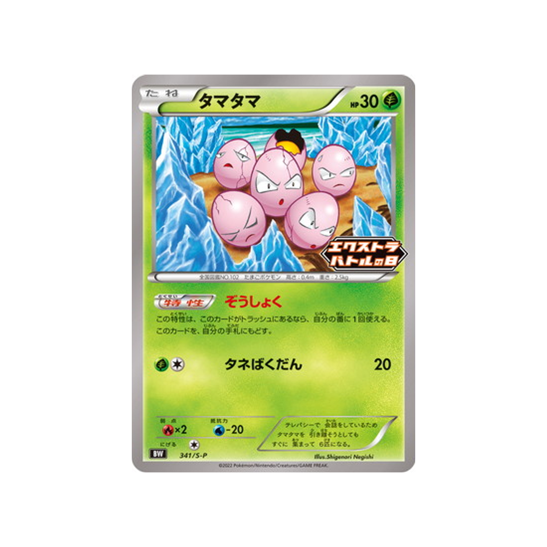 noeunoeuf-carte-pokemon-Carte Promo Épée et Bouclier-s-p-341-S-P