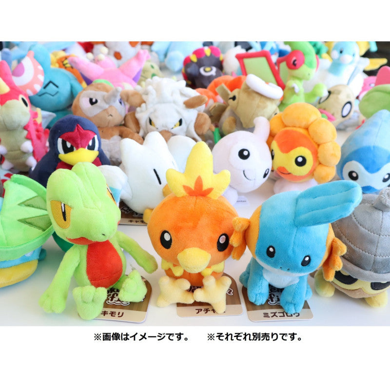 pokemon-pifeuil-peluche-fit-5