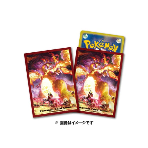 Protège Carte Pokémon  Cartes Pokémon – Mots clés Dracaufeu