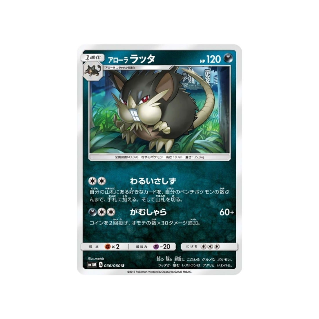 rattatac-d'aloha-carte-pokemon-lune-sm1m-036-060