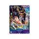 Cartes One Piece Display (OP)