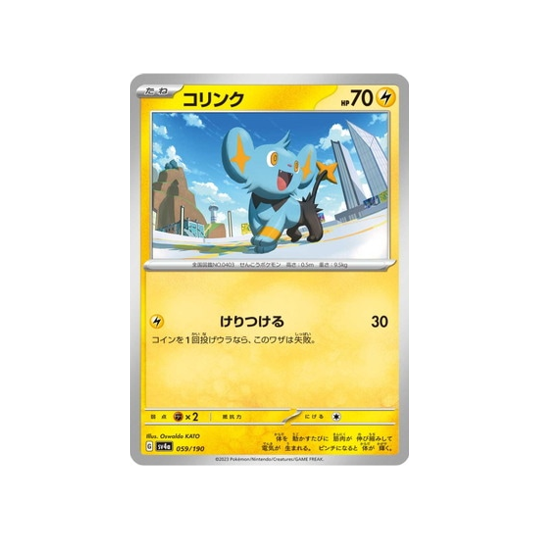 16074