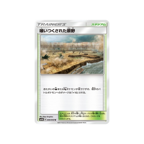 terrain-dévoré-carte-pokemon-bêtes-ultra-dimensionnelles-sm4a-049-050